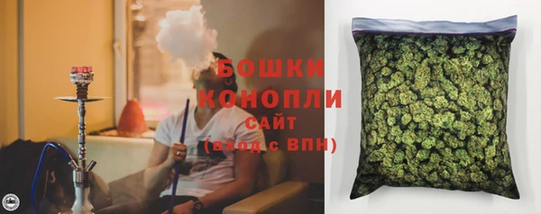 прущие крисы Белокуриха