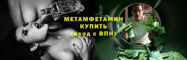 гидра Елизово