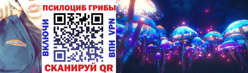 Псилоцибиновые грибы Cubensis KRAKEN зеркало Бугуруслан наркошоп